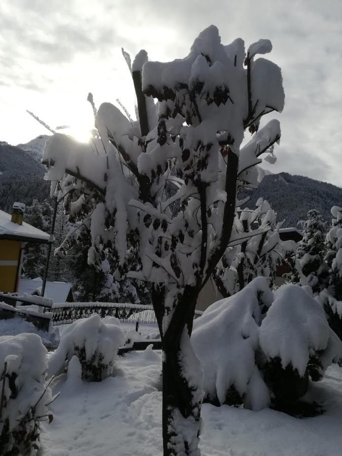 Il Nido B&B Villa d'Allegno Eksteriør bilde